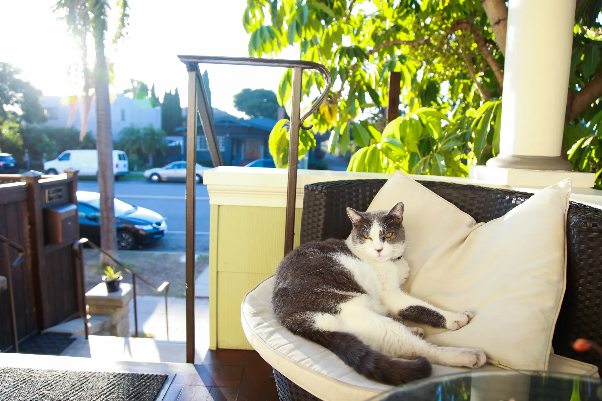 Two women on a couch with a cat at The Turning Point Home